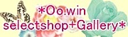 *Oo.win selectshop+Gallery*