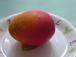 島マンゴーと魅惑の沖縄フルーツ