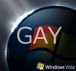 Windows Vista��for GAY��