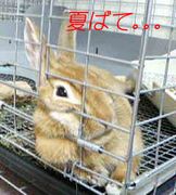 �ƥХƤˤʤäƤߤ���