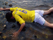 TKG�Ȥ����涵�����ݸ���