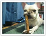 ���Ƥ���Ȥ��Ϥ��Ӥ򿩤٤ʤ�