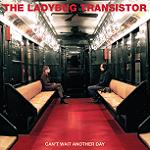 The Ladybug transistor