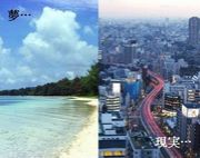 夢見る現実主義者たち