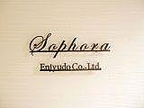 Sophora（ソフォラ）