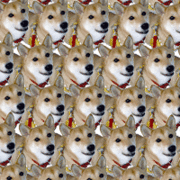 äפޥ
