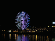 ☆彡光のネオン館☆彡