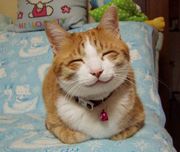 ��ǭ�ܤ�ǭ�ؤ�ǭ��ʥ��ʥ���