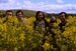 MeWithoutYou