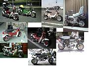 ����4�ߥ�����罸