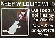 Keep Wildlife Wlid