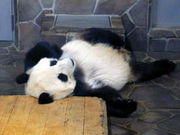 ��̣�Ŀ������(���ϡ���