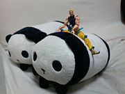 �ε��ʤ�ĺ�����