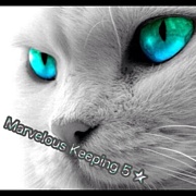 Marvelous Keeping 5
