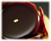 ��Gataeu de bois��