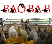 ウサギ専門店　バオバブ