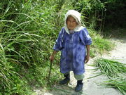 ��Ũ�ʿͤ˽в�ä������̿���