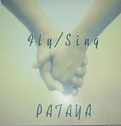 PATAYA֥롼ʪ