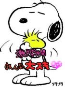 ����������ر�