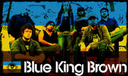 BLUE KING BROWN