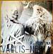 【REFLEC BEAT】VALLIS-NERIA
