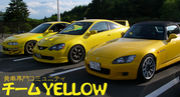 チームYELLOW