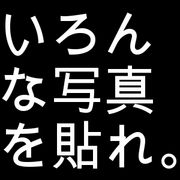 ������ʼ̿���Ž��