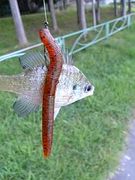 �Υ�������ӥѥå���