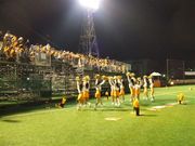 TOA Cranes Cheerleaders