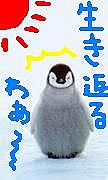 ϥƥ