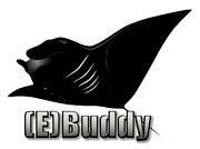 (E)Buddy ダイビング部