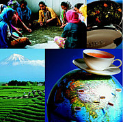 ������������