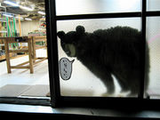 ��������ں�¤���� 101��