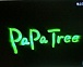 PaPa Tree