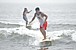 ������� SURFRES.com
