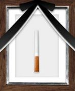 ���� ��� ��̳�� ���Х�����