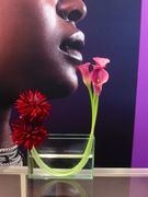 �ե����ꥹ�ȷбĸ����