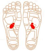 �Х�Х�θ����䤨������