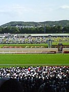 競馬知恵しぼり