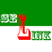 SEL-LINK