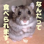 好き嫌いはありません♪