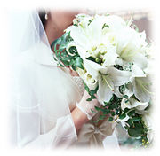 NFCC �ǥ�����