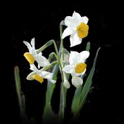 ������������������ǹ�ʡ��ȡ�