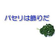 �ѥ���Ͼ����������