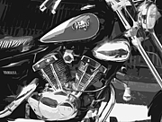 ޤ Virago 