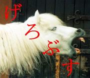 �����֥�