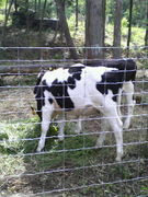 �䤬A����ö��ϣ·�