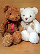 ���������ȥ��祳��٥�