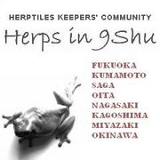 Herps in 9Shu(九州 爬虫類)