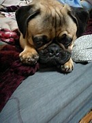 ���줤������